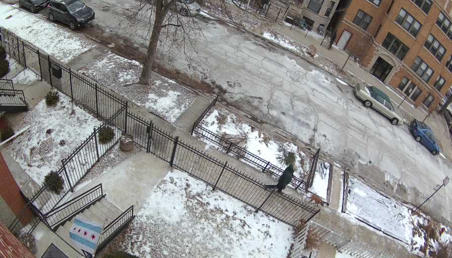 Reolink Camera One_00_Reolink Home Hub One_20260122100729.jpg